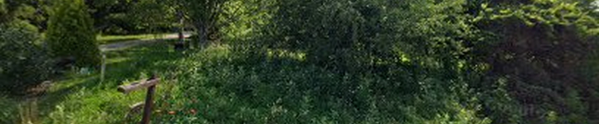 Madison Horticultural and Landscaping Services