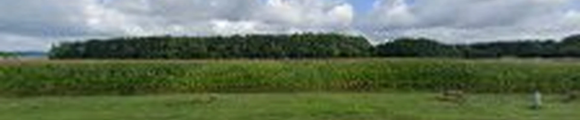 J&J Total Lawn Care Llc
