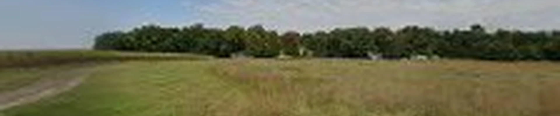 A+ Lawn Care LLC - DeForest