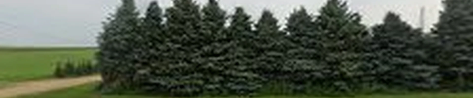 A-1 Landscaping
