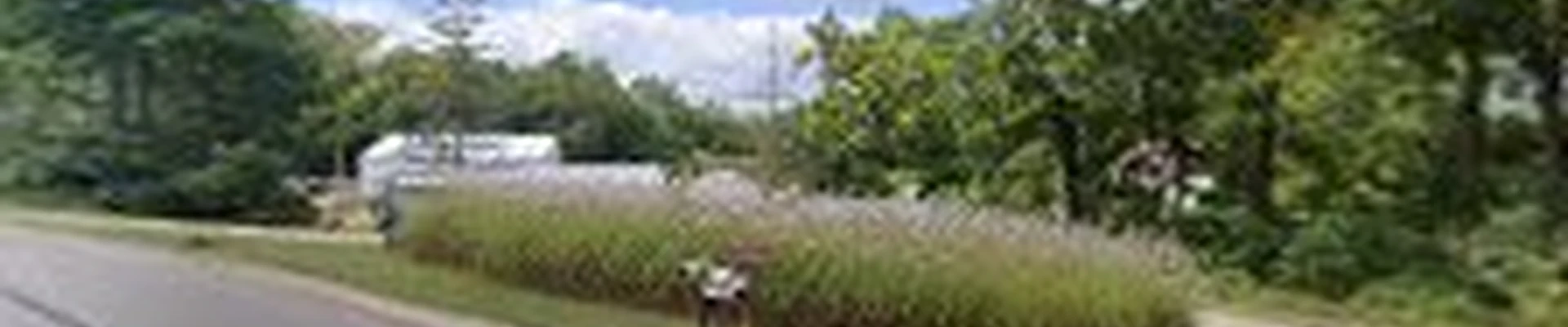 Bob's Digging And Landscaping