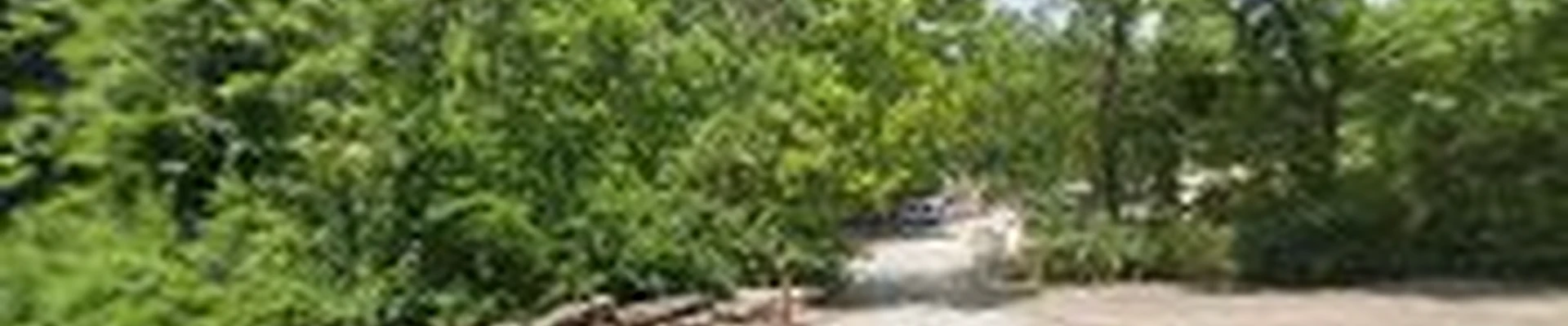 Sandy Creek Landscaping
