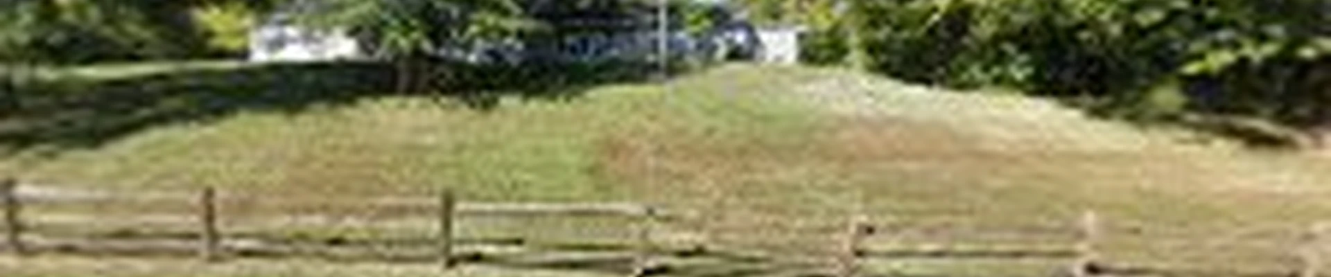 Daniels Lawn Care & Landscape Llc