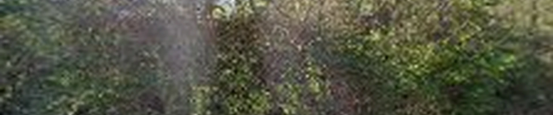 Mid-States Lawn Care