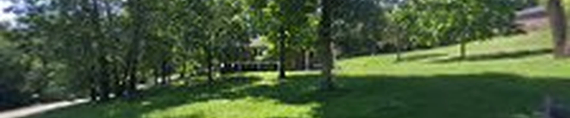GreenScapes Year Round Landscaping