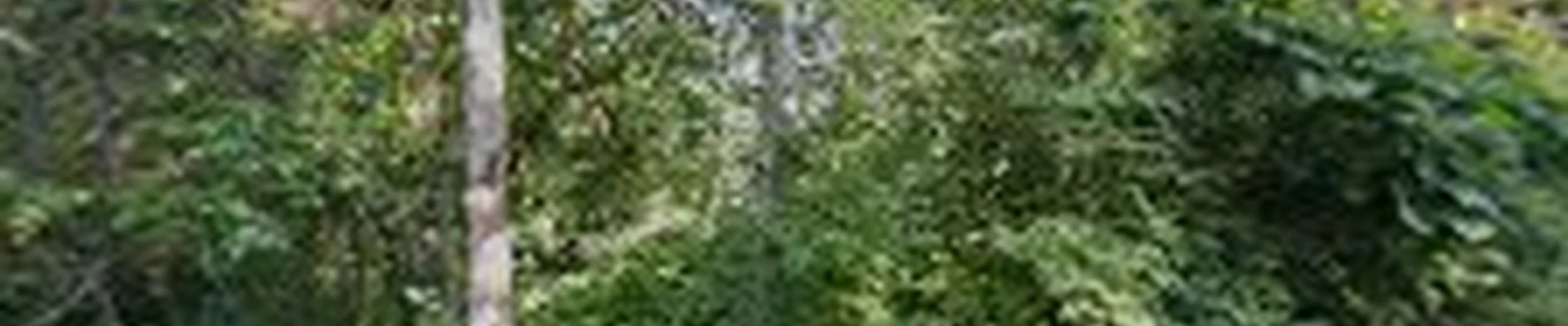 Martin's Landscaping & Construction