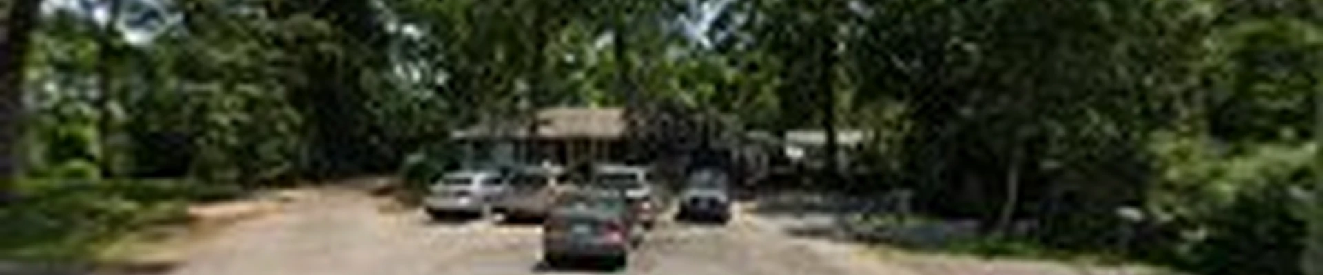 Lawn Mex Inc and Tree Service