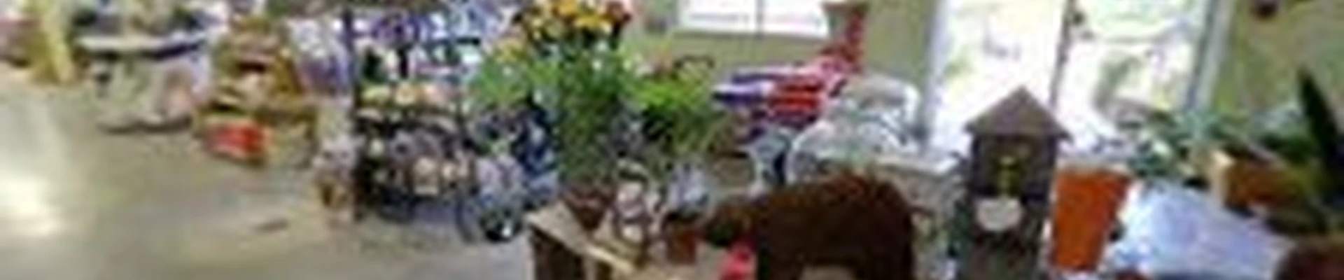 Fendler Nursery & Garden Center
