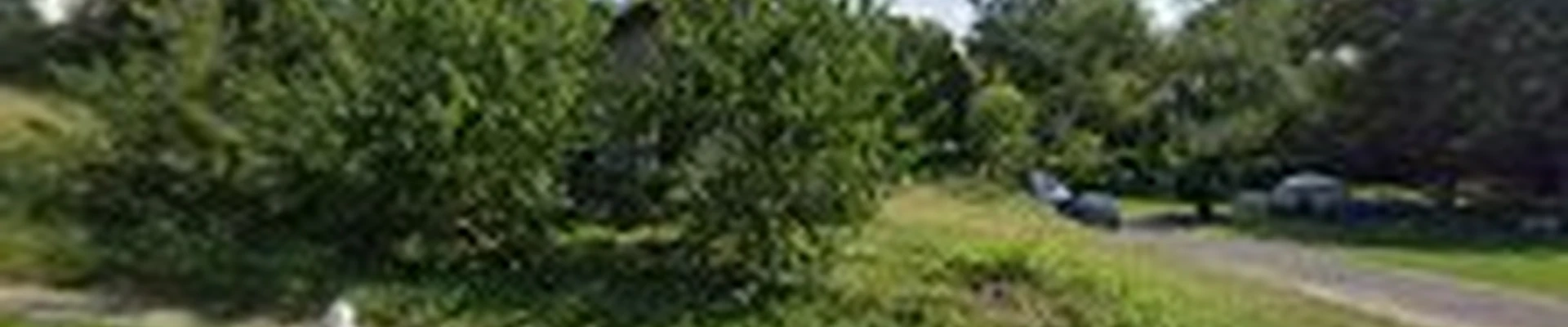 Juan company Landscaping service