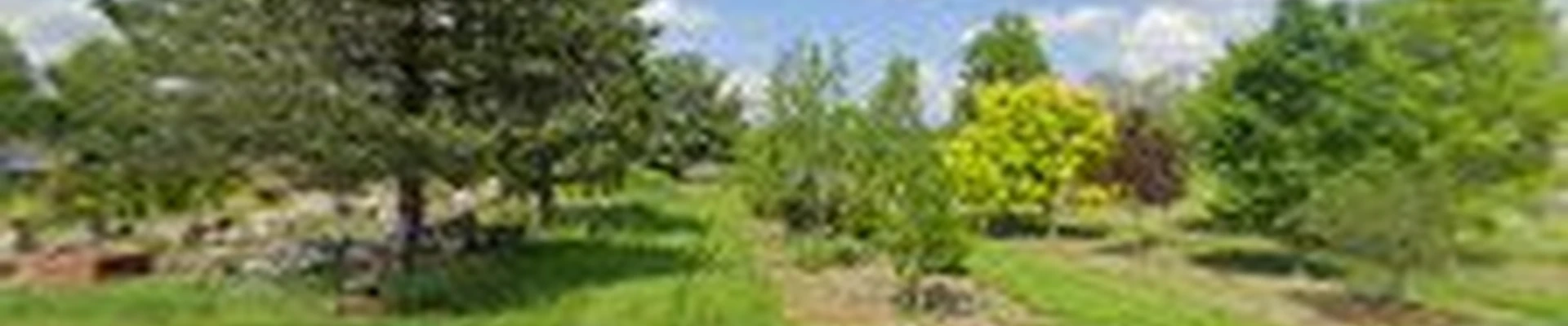 Delventhal Landscaping Inc