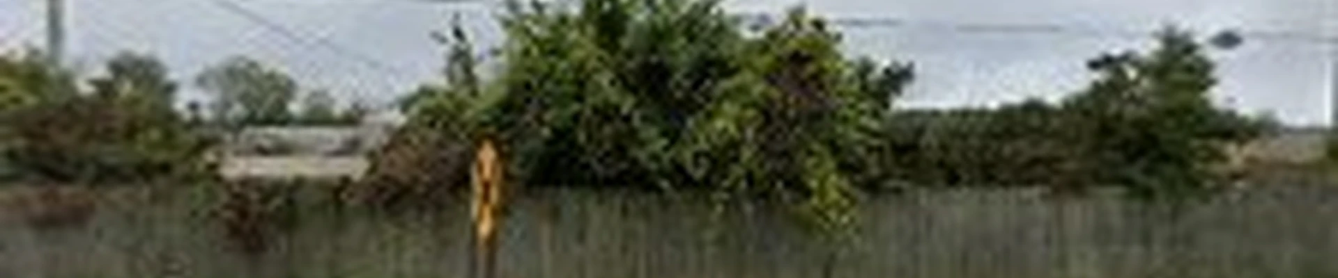 Kerekes Lawn and Landscape