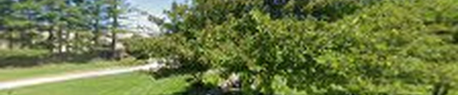 Groundskeeper Outdoor Solutions LLC