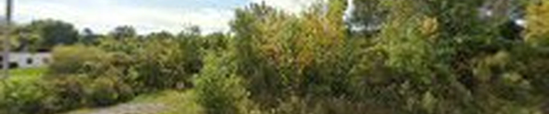 Arbor Tech of Toledo, LLC Tree Service