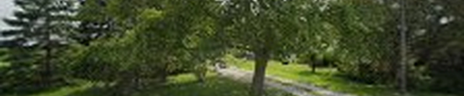 Myrice Landscape & Design