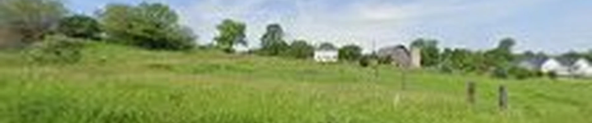 Landscape Professionals, Llc