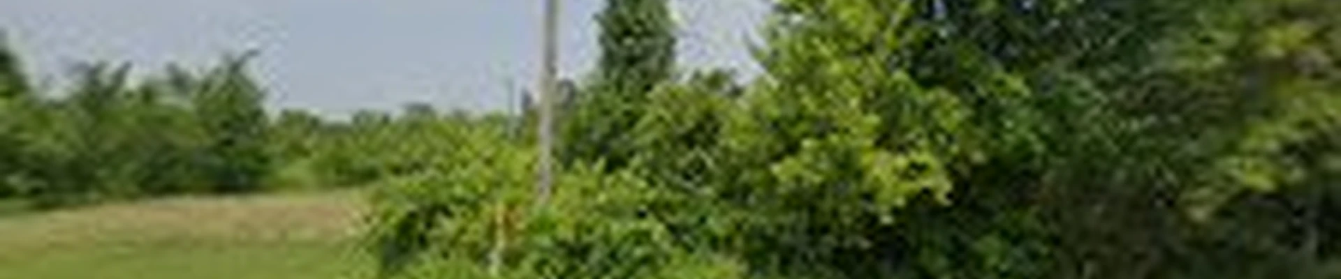 ReScape Landscape & Estate Salvage LLC