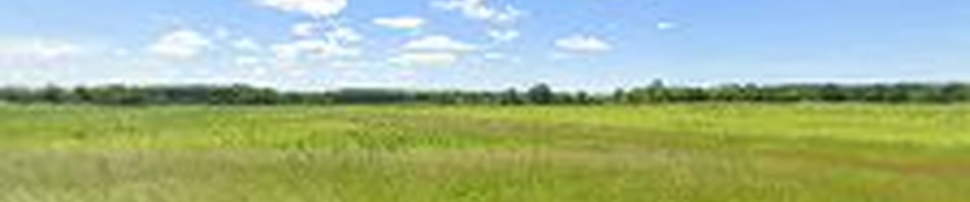 Marty’s Landscape Design Group