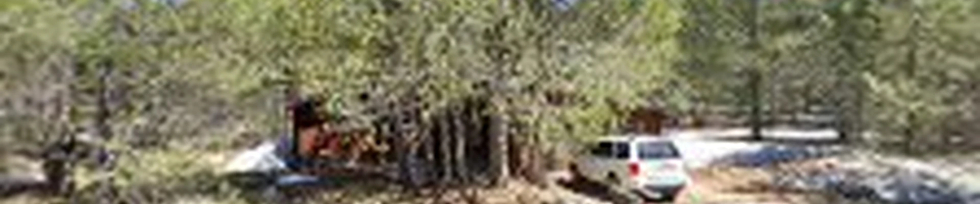 Benty's Landscaping Inc.