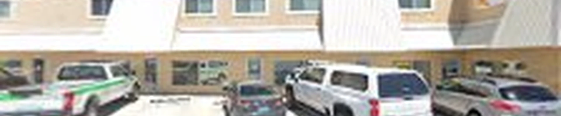 Action Lawn & Landscape
