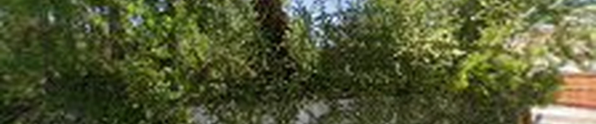 Martinez Landscaping