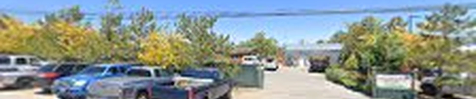Town & Country Landscape Maintenance