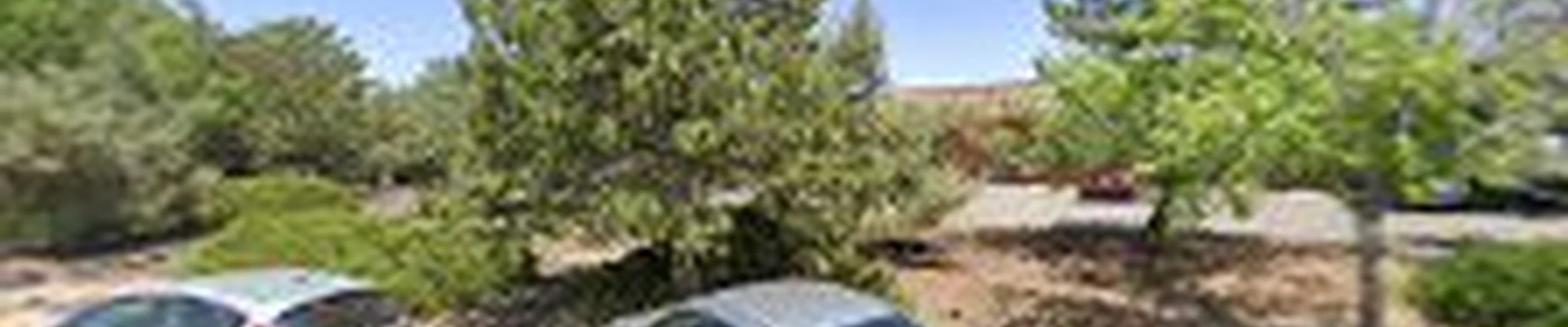 Lawn Express & Landscape LLC
