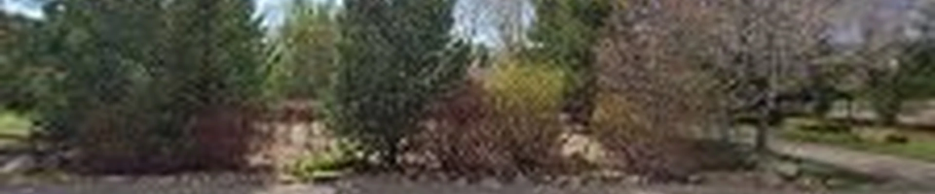 Evergreen Landscape Development