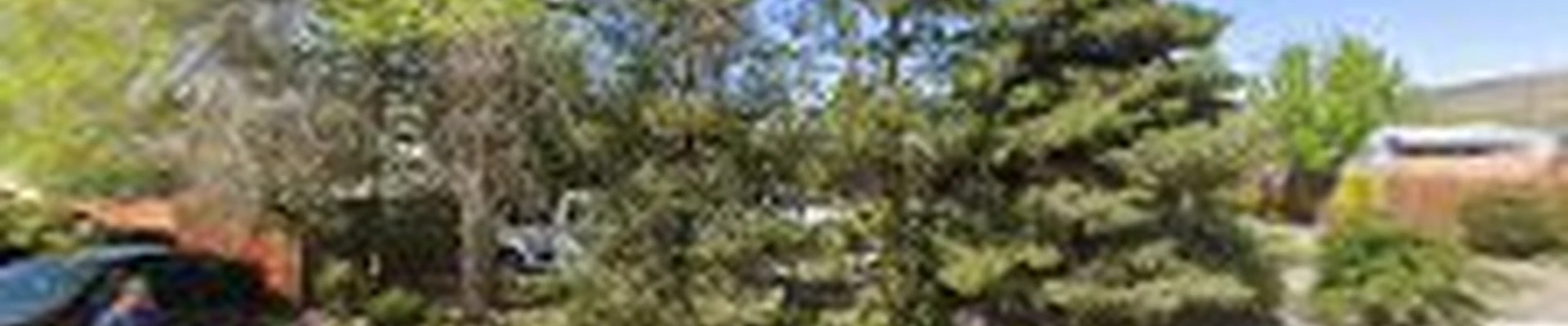 Oso Negro Landscaping