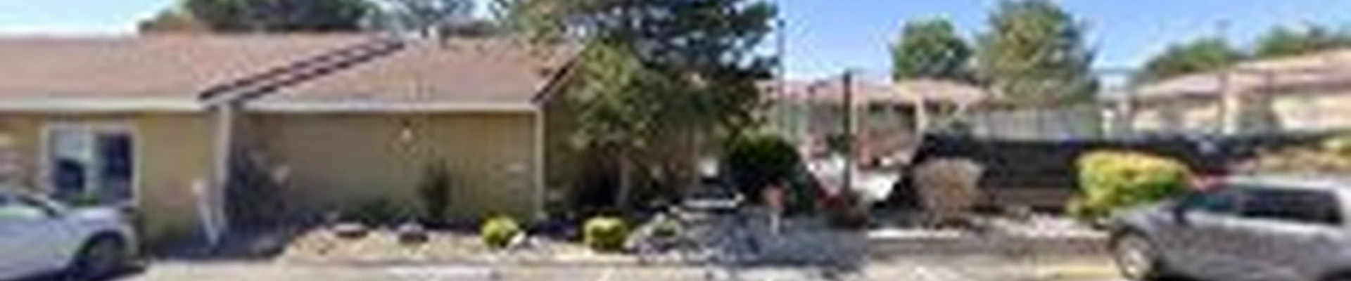 The Four Winds tree and landscape design