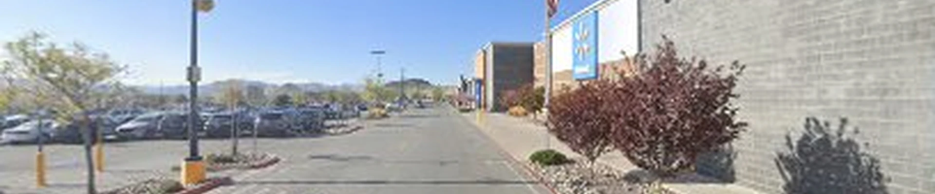 Walmart Garden Center