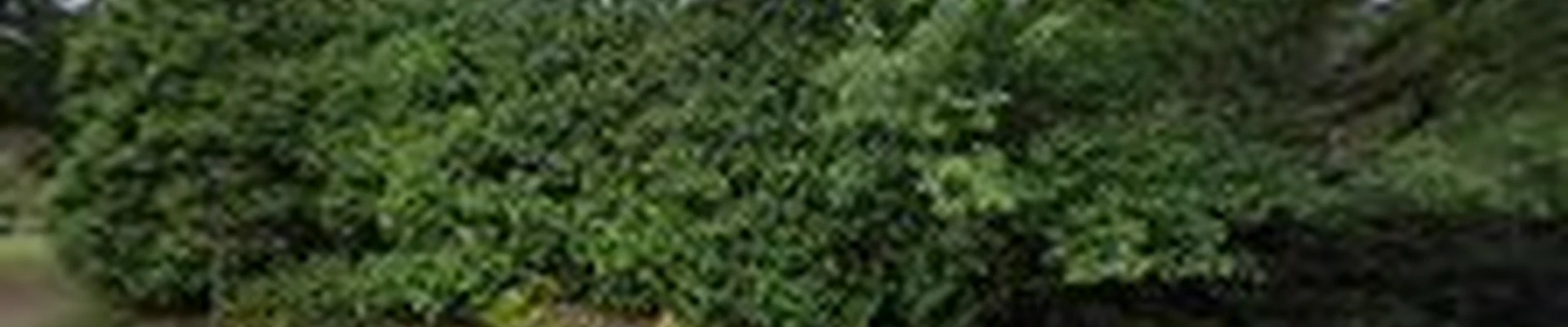 Legendary Landscapes LLC