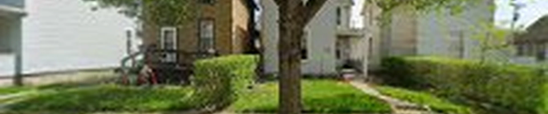 David Tree Service N' Landscaping LLC