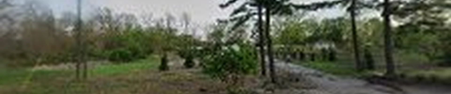 Patton Landscape Co Inc
