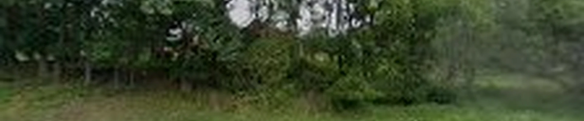 Gossel Lawn & Landscape