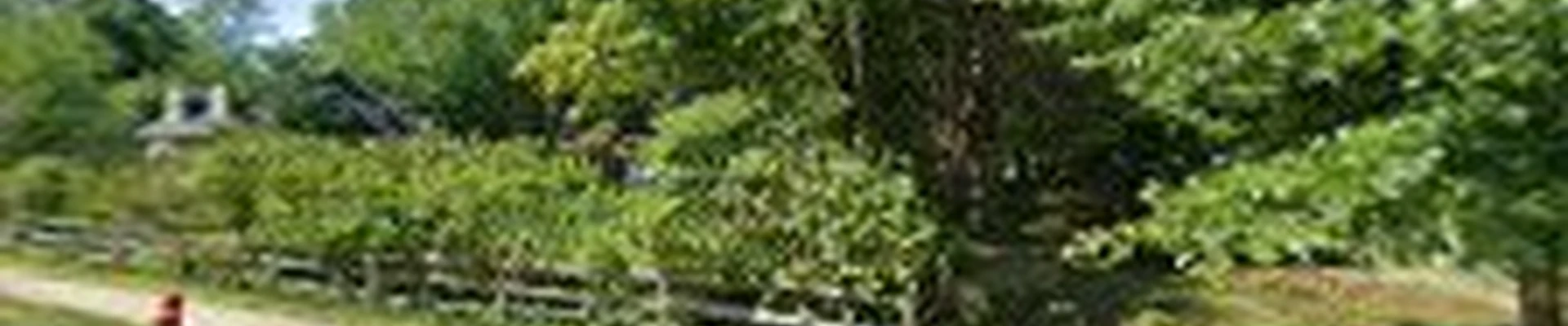 Muldowney Bros. Lawn Care, LLC