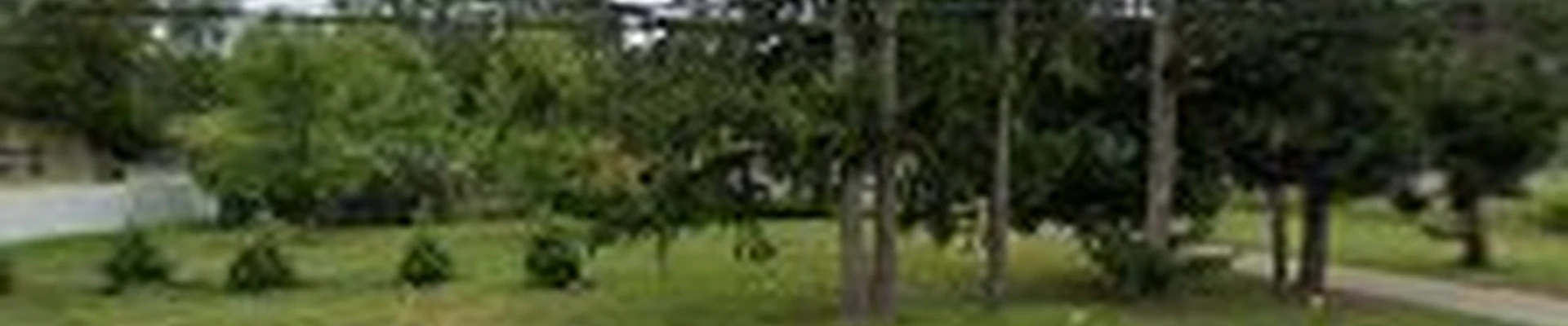 McNutt Landscaping