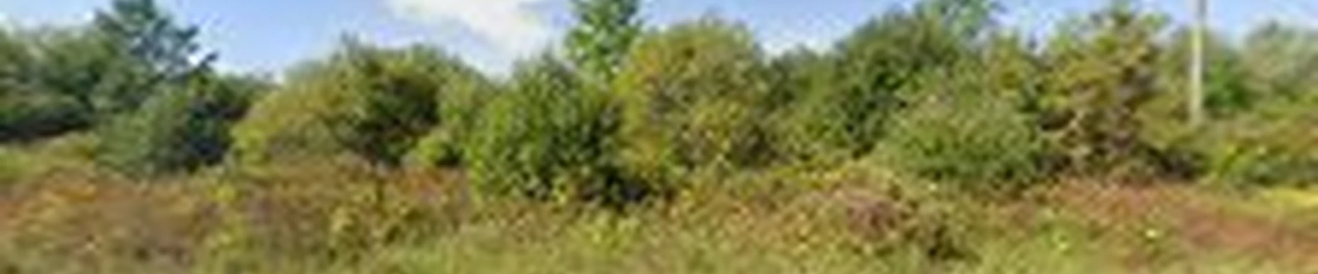 Stone and Landscape Creations, LLC