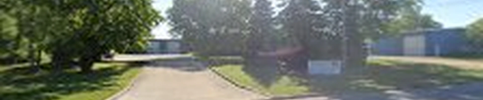 Modern Landscape & Maintenance
