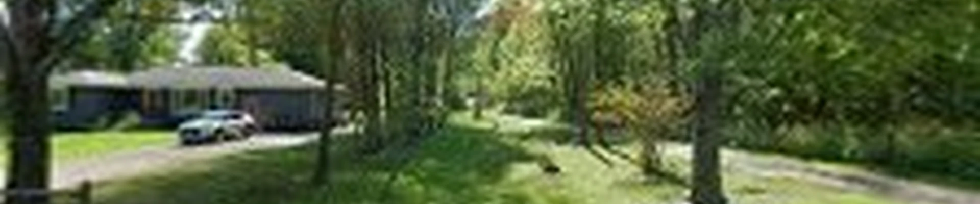 Soil and Seed Landscaping