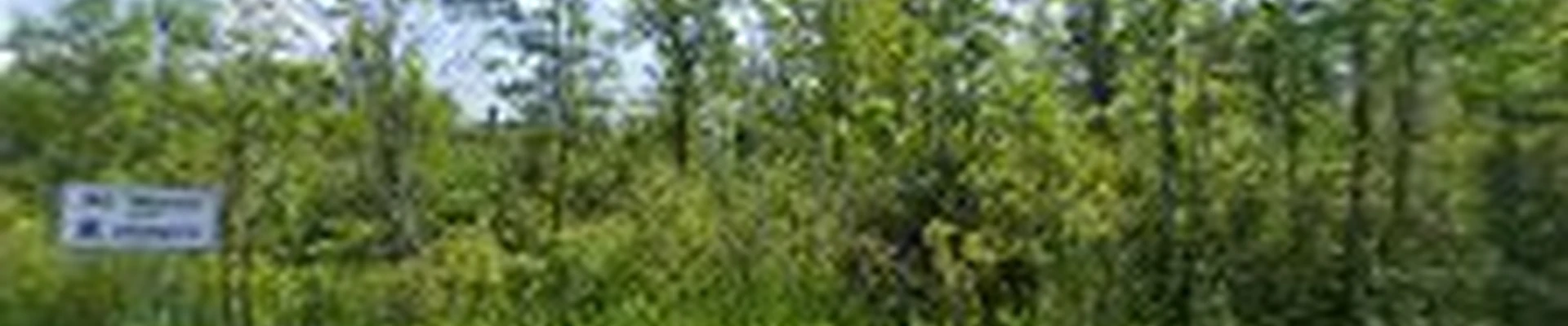 AVA Lawnscapes
