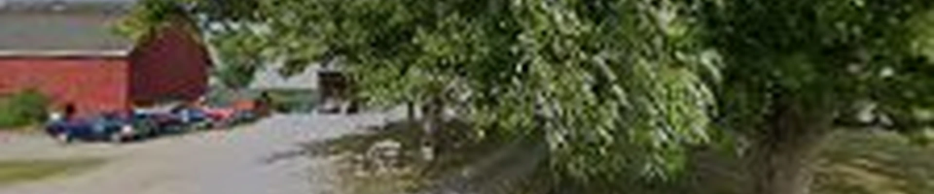 McKenzie Landscaping