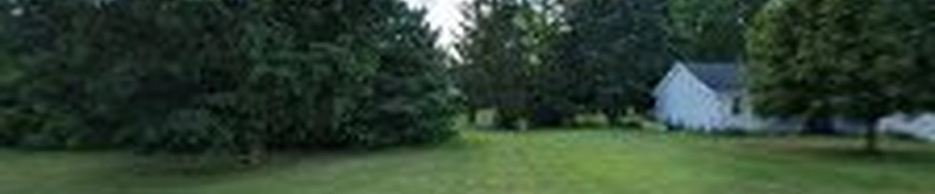 BL Landscape