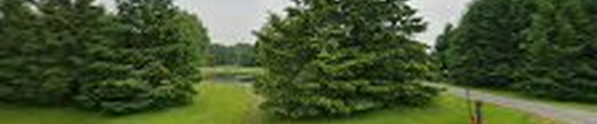 Zarcon Landscape