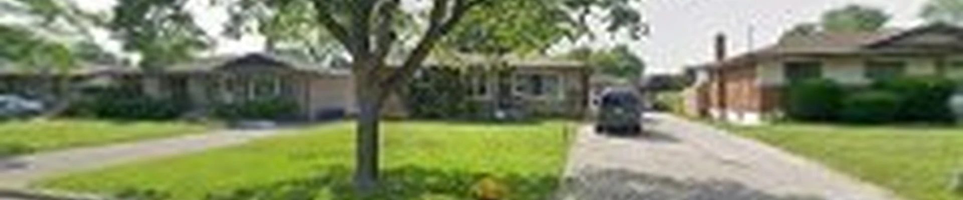 Blooms and Blizzards Landscaping