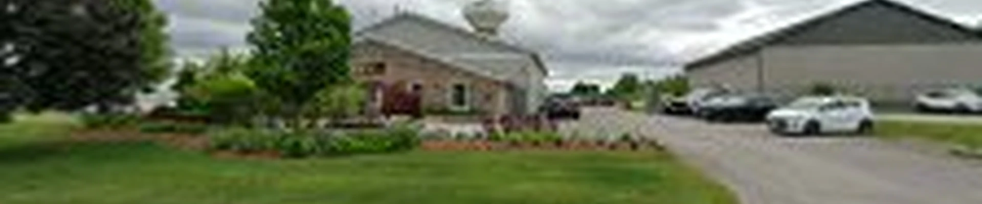 Tree Amigos Landscaping Inc.