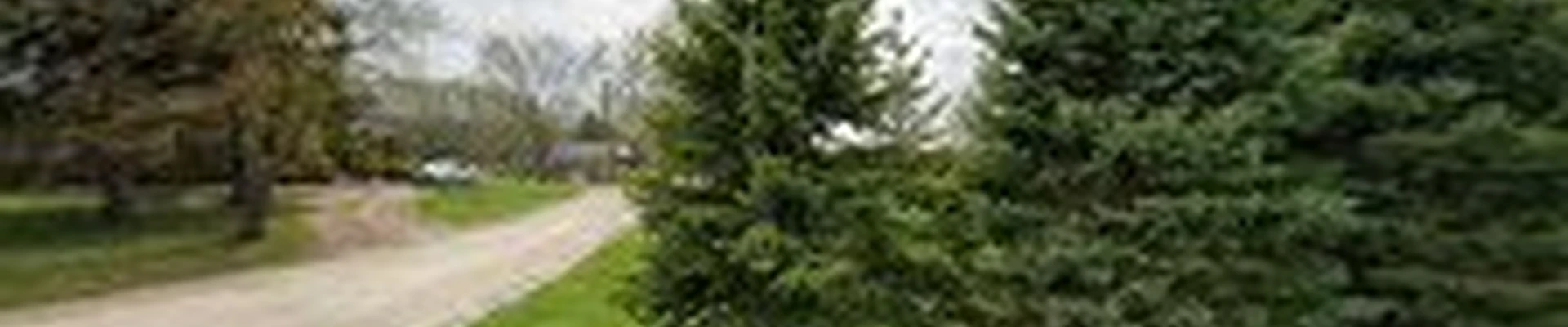 Outdoor Havens Landscaping
