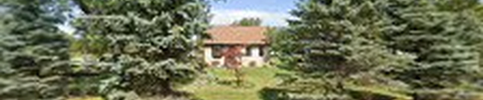 Absolute Home Services