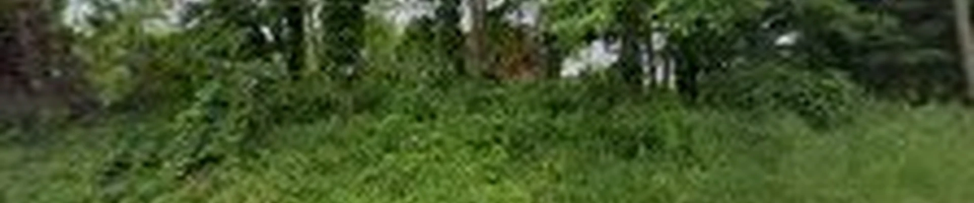 Care Ease Lawn LLC