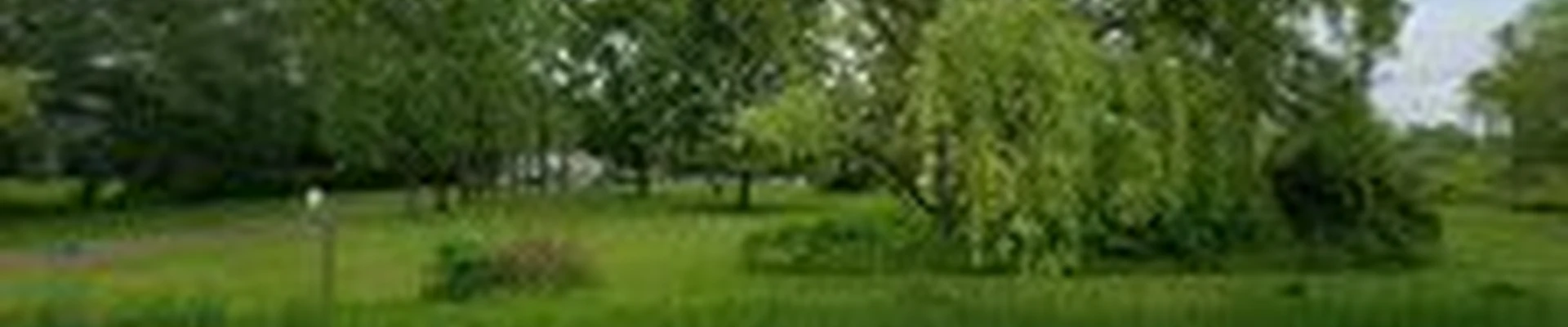 Royal Blue Landscaping Inc.