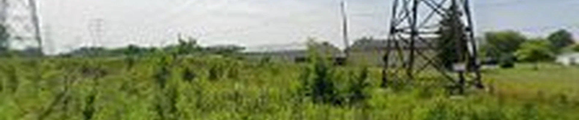 Sam Longs Landscaping Excavating Inc